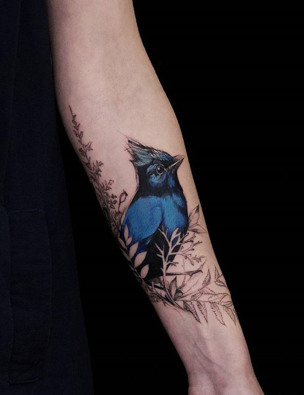 Stellar jay bird tatovering