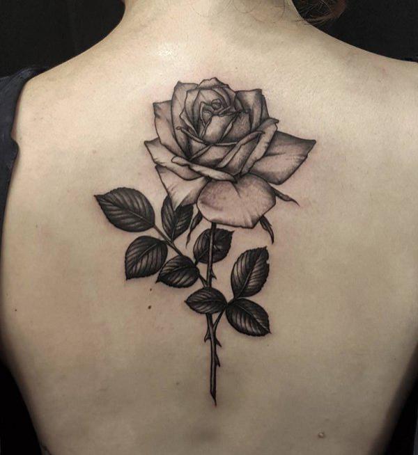 Rose symmetria tatuointi selkärangan yli