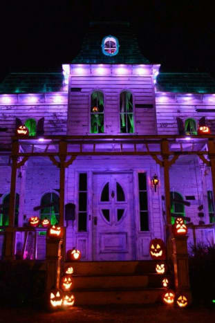 Olemme erittäin iloisia tästä violetista Halloween -palatsista.