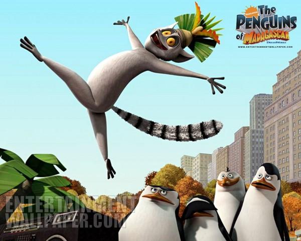 οι πιγκουίνοι της Μαδαγασκάρης