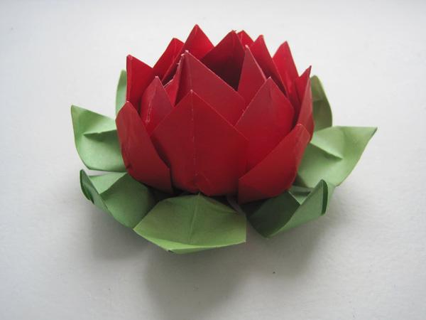 origami lotusblomst-15