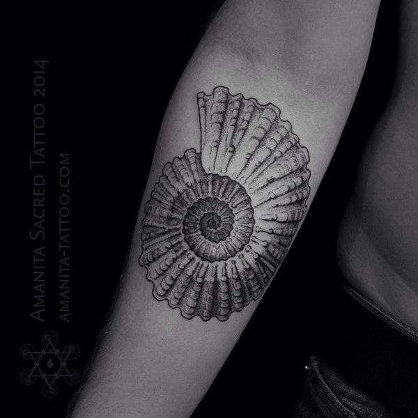 shell tatovering-32