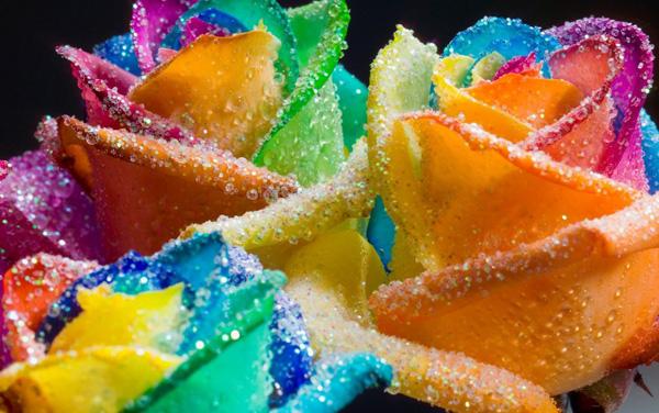 Glitter Rainbow Roses