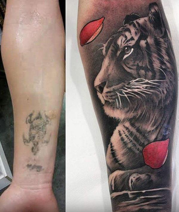 Tiger dækker tatovering