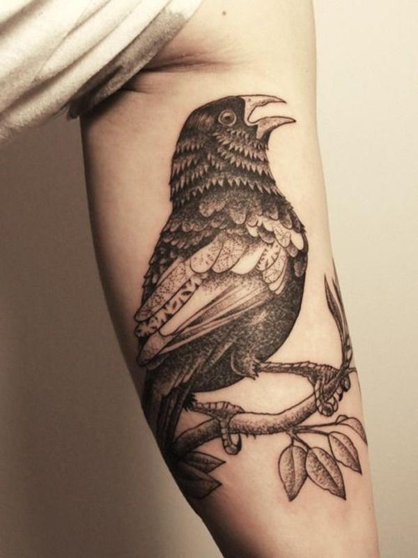 Musta ja harmaa linnun sisäinen hauis tatuointi
