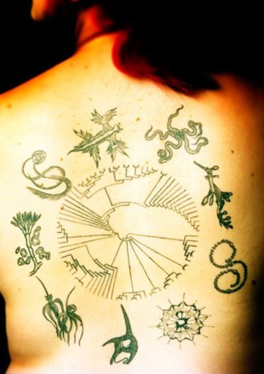 En af livets træ -tatoveringer fra Science Ink.