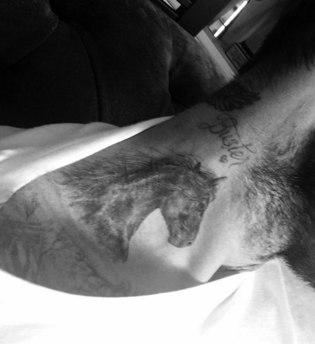 David Beckham hest tatovering