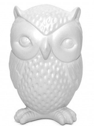 Saatavilla osoitteessa INKEDSHOP.COM: Ceramic Owl Coin Bank