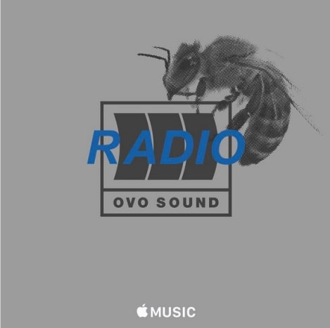 Ο Drake δημοσίευσε επίσης πρόσφατα μια διαφημιστική φωτογραφία για το OVO Sound Radio στον λογαριασμό του στο Instagram και η εικόνα περιέχει μια μέλισσα που μοιάζει με αυτή στο νέο του τατουάζ. Αρχικά ανακοινώθηκε τον Οκτώβριο του 2016, το έργο του Drake's More Life χρεώθηκε ως μίξη και όχι ως άλμπουμ. «Είναι απλώς μια εξέλιξη της μίξης, εξήγησε ο Drake σε συνέντευξή του στον DJ Semtex για το OVO Sound Radio τον περασμένο μήνα. «Toughταν δύσκολο να λέμε:« Θα ρίξω ένα mixtape αλλά θα πωληθεί στο iTunes. »Likeταν σαν,« Ω, αυτό είναι το άλμπουμ σου. »Δεν ήθελα να λένε οι άλλοι ότι αυτό είναι το επόμενο άλμπουμ μου. Το Views ήταν το άλμπουμ μου. Αυτό είναι κάτι που, μετά τις Views, απλώς εμπνεύστηκα. Wantedθελα να διατηρήσω τη ροή της μουσικής ». Νωρίτερα αυτόν τον μήνα, ο Drake ανακοίνωσε την επικείμενη κυκλοφορία της λίστας αναπαραγωγής κατά τη διάρκεια μιας παράστασης στη Γερμανία, λέγοντας: «Ξέρω ότι με πήρε λίγο, αλλά θα πάω στο ξενοδοχείο απόψε για να τελειώσω αυτό το More Life shit για να σας το δώσω όσο το δυνατόν συντομότερα. Ελπίζω λοιπόν να είστε έτοιμοι να απολαύσετε μια νέα μουσική ».