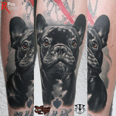 Tämä koira tietää olevansa kuningas. Tatuointi Mirel Tattoo Art Galleryssa
