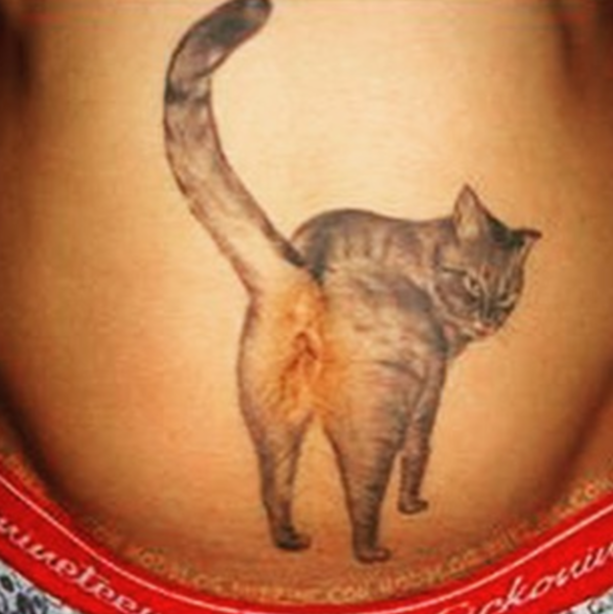 γάτα-πισινό-τατουάζ