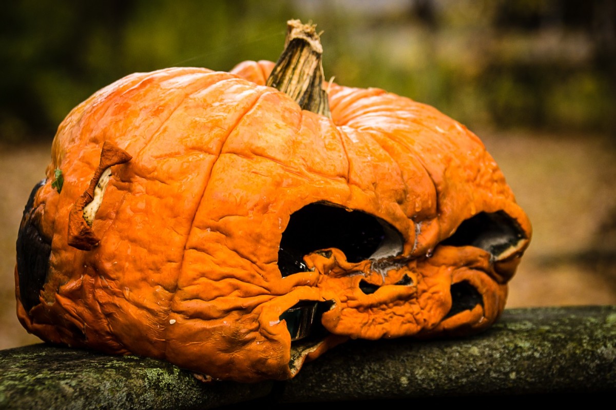 efterår_orange_fald_halloween_rotting_pumpkin_rotten-903506