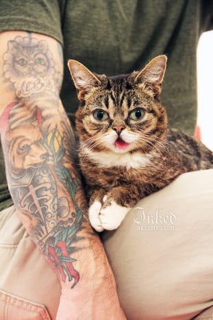 Ο Lil Bub και ο μάγκας της, Mike Bridavsky, επισκέπτονται το Inked Office στη Νέα Υόρκη. Ο Bridavsky δείχνει το τατουάζ του Lil Bub.