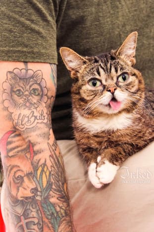 Η Lil Bub και ο μάγκας της, Mike Bridavsky, επισκέπτονται το Inked Office στη Νέα Υόρκη. Ο Bridavsky δείχνει το τατουάζ του Lil Bub.