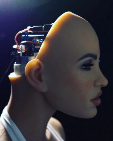Virksomheder som Realbotix har skabt sexrobotter, der er fuldstændig automatiseret af AI og indeholder radikale nye funktioner - såsom opvarmede kamre og et udvalg af forskellige personlighedstræk.