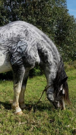 Φωτογραφία μέσω BenjaminLloydCollection Με βάση τις προηγούμενες εικόνες που έχει δημοσιεύσει ο Lloyd, αυτό το πρόσφατο τατουάζ αλόγου δεν είναι η πρώτη του εισβολή στα ιπποειδή