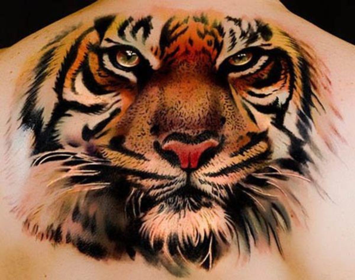 καλλιτέχνης-andrea_afferni-realistic-tiger-tattoo_0011347701737
