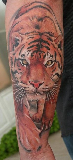Σχέδια τατουάζ Tiger που θα σας ξετρελάνουν