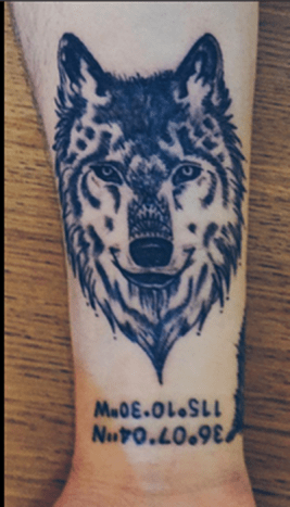 Τελειωμένο τατουάζ λύκου της Shelley.