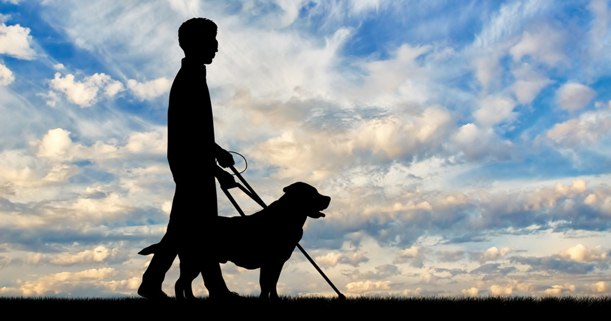 Foto Beskrivelse: Dreng, der går med førerhund og stok mod blå himmel og skyer