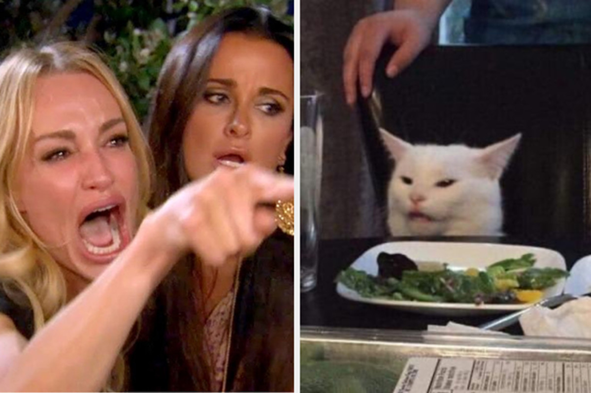 this-woman-yelling-at-a-cat-meme-is-still-my-favo-2-7263-1574449806-0_dblbig