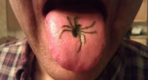 I disse dage tatoverer blækopsamlere næsten alle dele af kroppen, man kan forestille sig, også overfladen af ​​deres tunge.